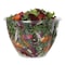 Eco-Products Salad Bowls, 48 oz, 6.69" Diameter x 4.38" H, Clear, PK300, 300PK EP-SB48BASE - alternate 3